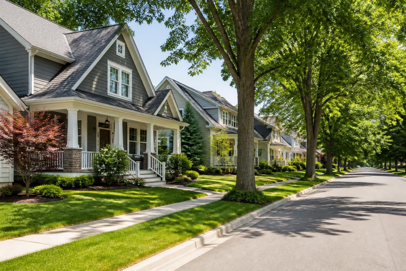 Suburban street with mature trees in Live Oak