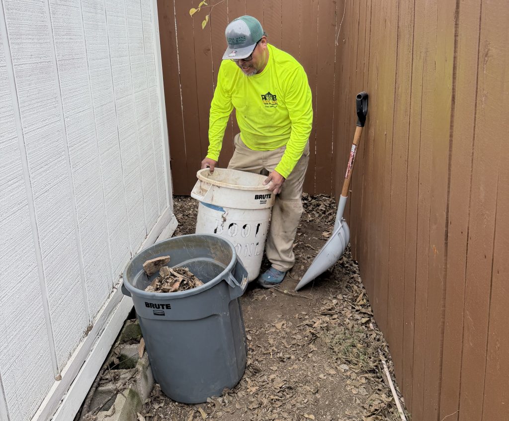 Yard Cleanup